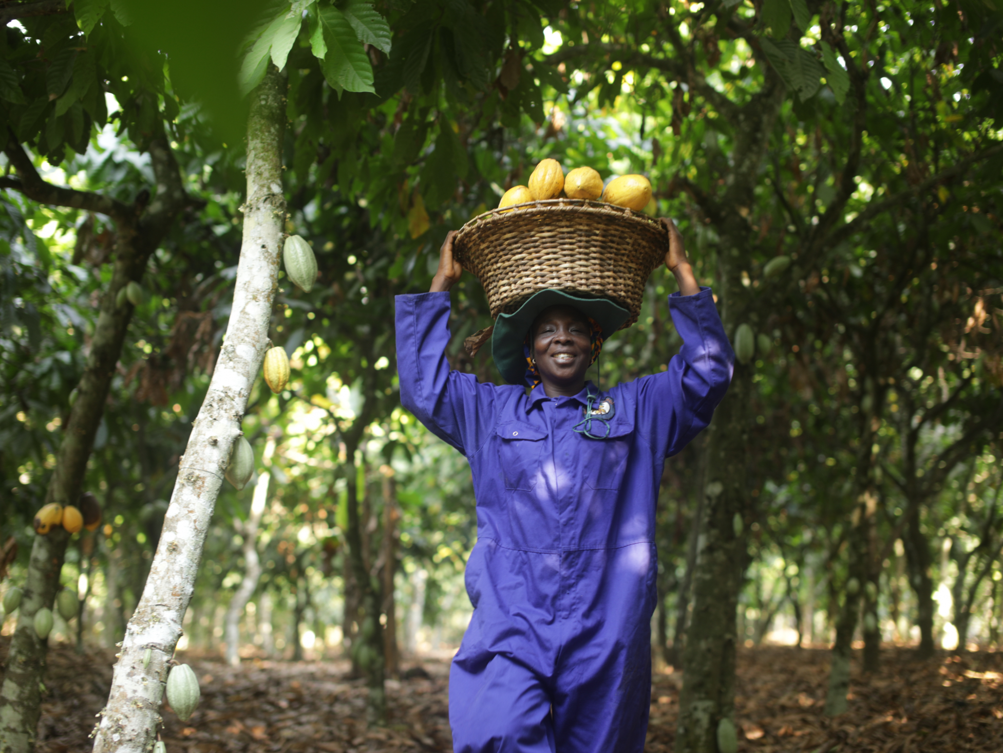 Kakaobäuerin in Ghana. © Foto: Fairtrade Funnelweb Media