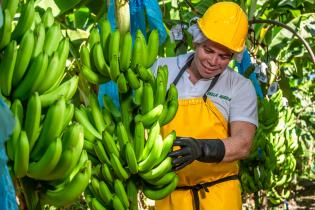 Arbeiter in Kolumbien. © Foto: Fairtrade Foundation, Cesar David Martinez