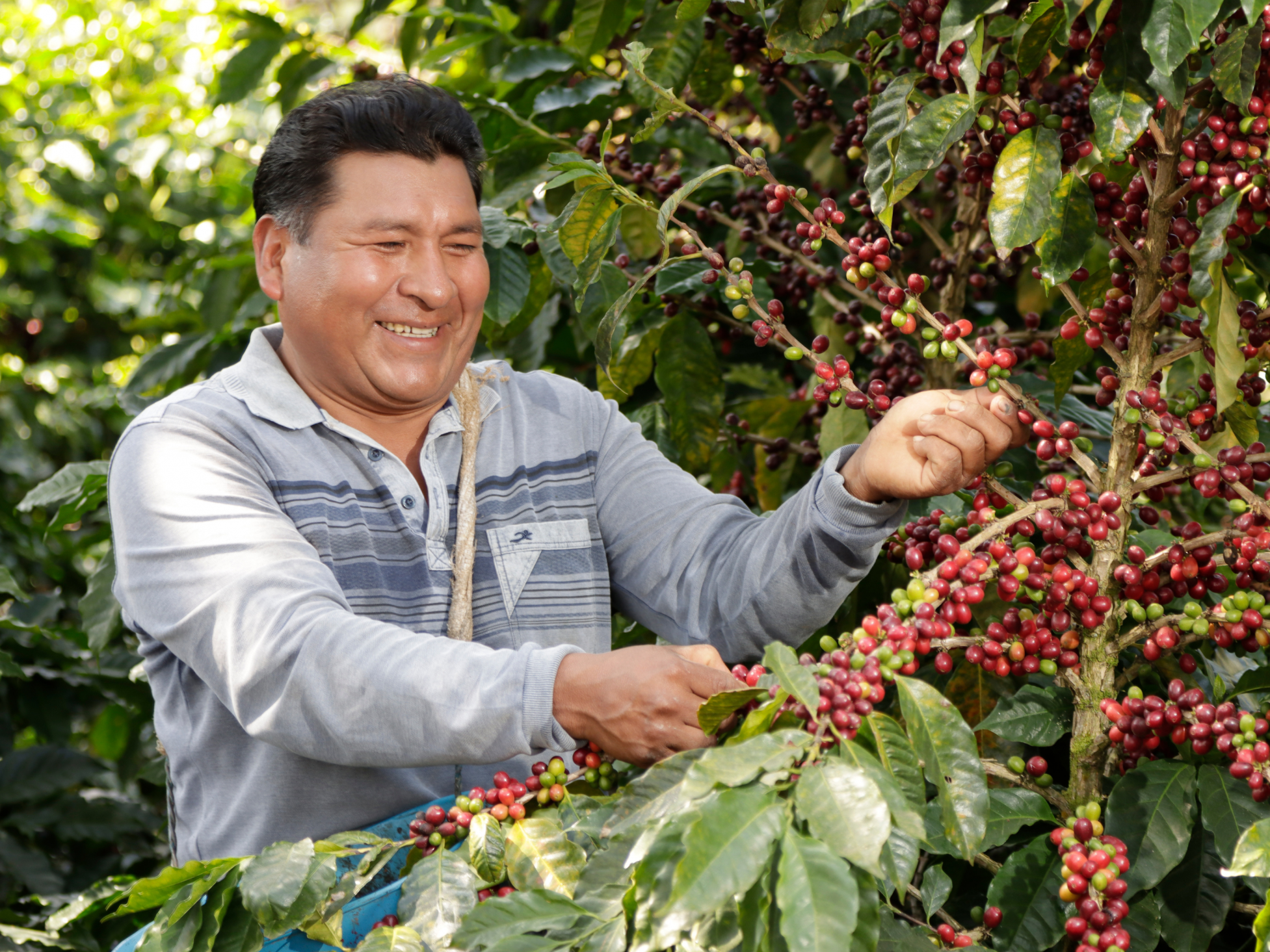 Kaffeebauer Santos Mamani aus Bolivien. © Foto: Max Havelaar-Stiftung (Schweiz)