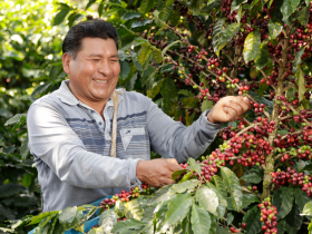Kaffeebauer Santos Mamani aus Bolivien. © Foto: Max Havelaar-Stiftung (Schweiz)
