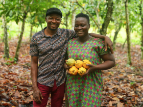 Kakaoproduzentinnen, Sierra Leone. © Foto: Fairtrade, Nipah Dennis