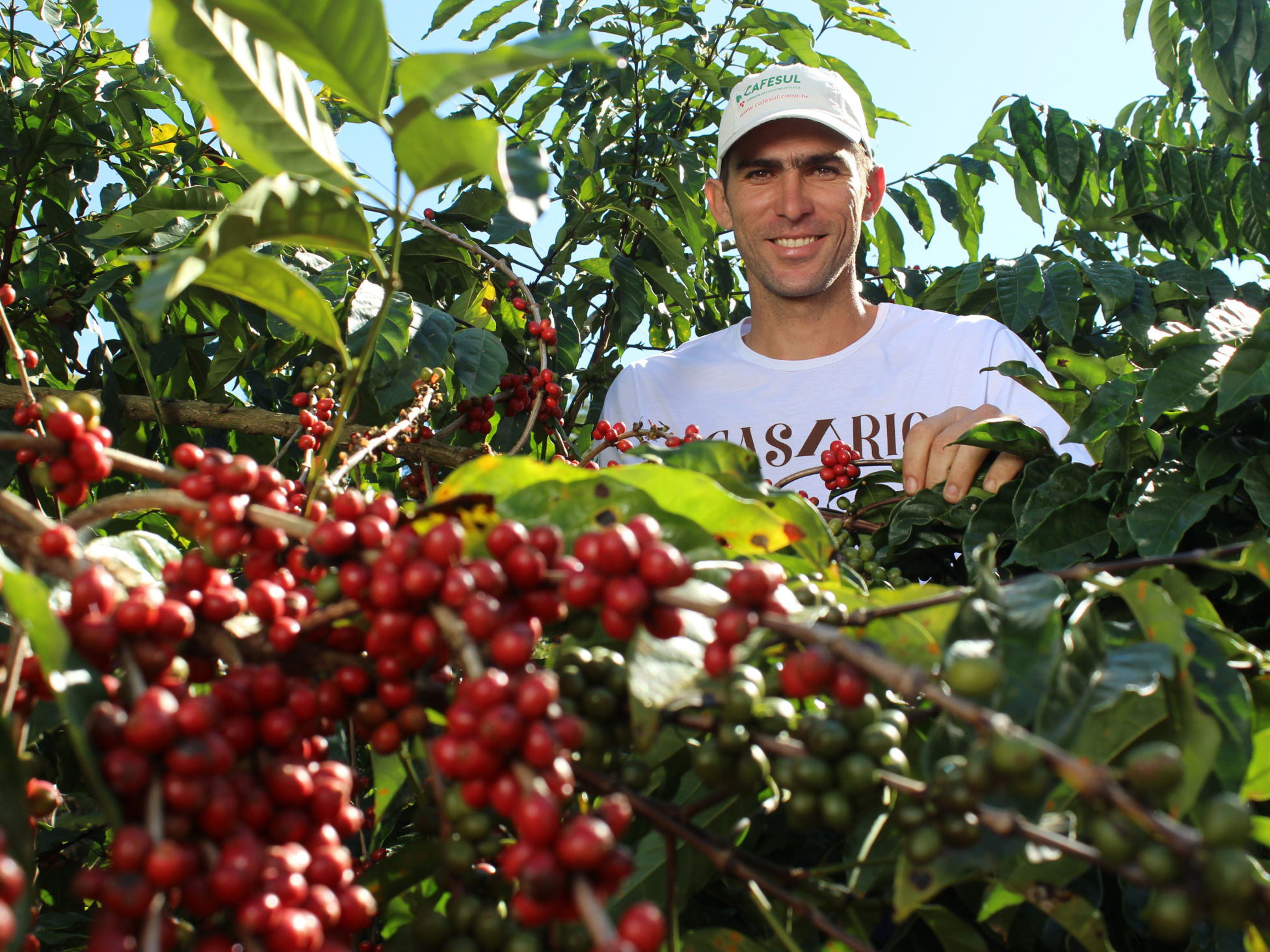 Kaffeebauer Guideone Machado Carrari. © Foto: Max Havelaar-Stiftung (Schweiz)
