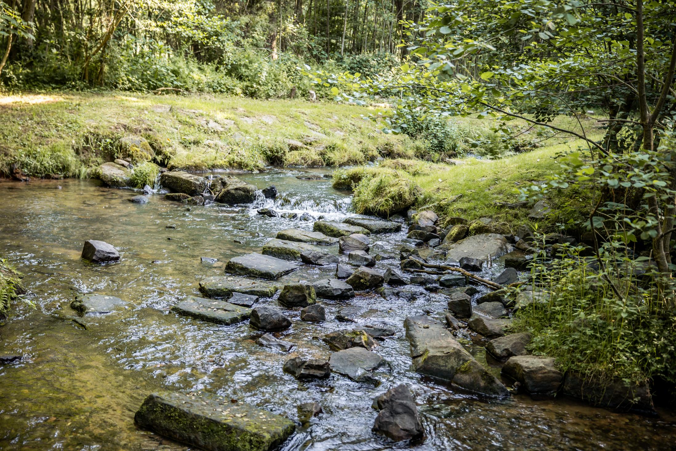 © Foto: Schullandheim Hobbach